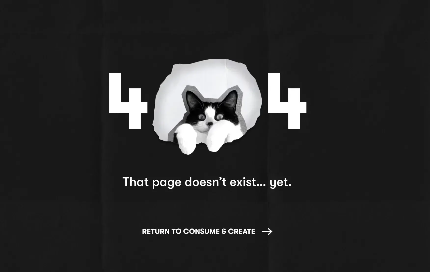 Custom 404 page featuring my cat